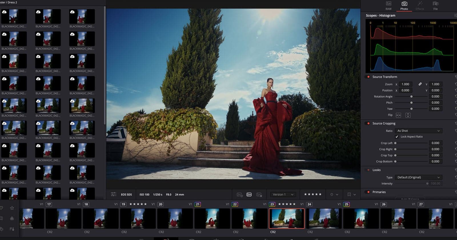 DaVinci Resolve 21 is Now a Lightroom Alternative: RAW Editing, Tethering, Masking, and More