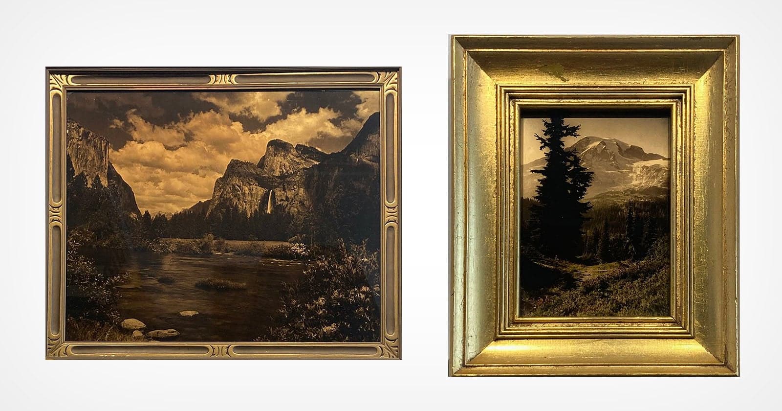 These Beautiful Golden Photo Prints Fell Out of Favor Over a Century Ago