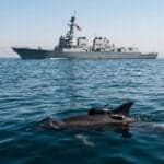 Iran May Deploy Mine-Carrying Dolphins In Strait Of Hormuz To Target U.S. Warships